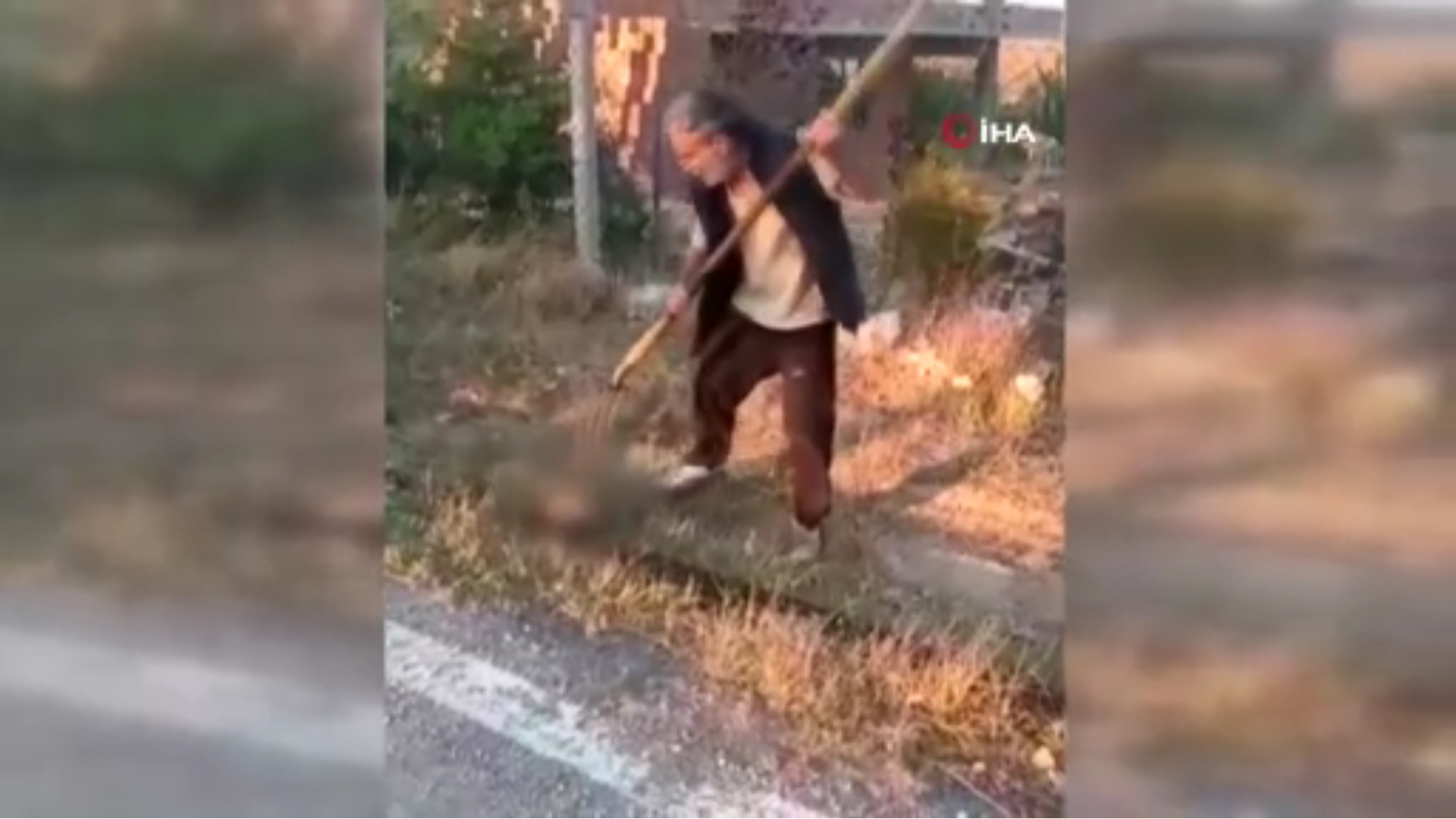 YAVRU KÖPEK VAHŞİCE ÖLDÜRÜLDÜ