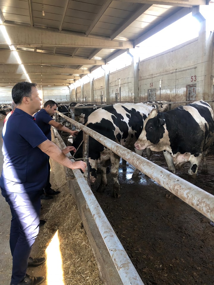 Müdür Parlak ve Ekibi Saha Çalışmalarını Sürdürüyor