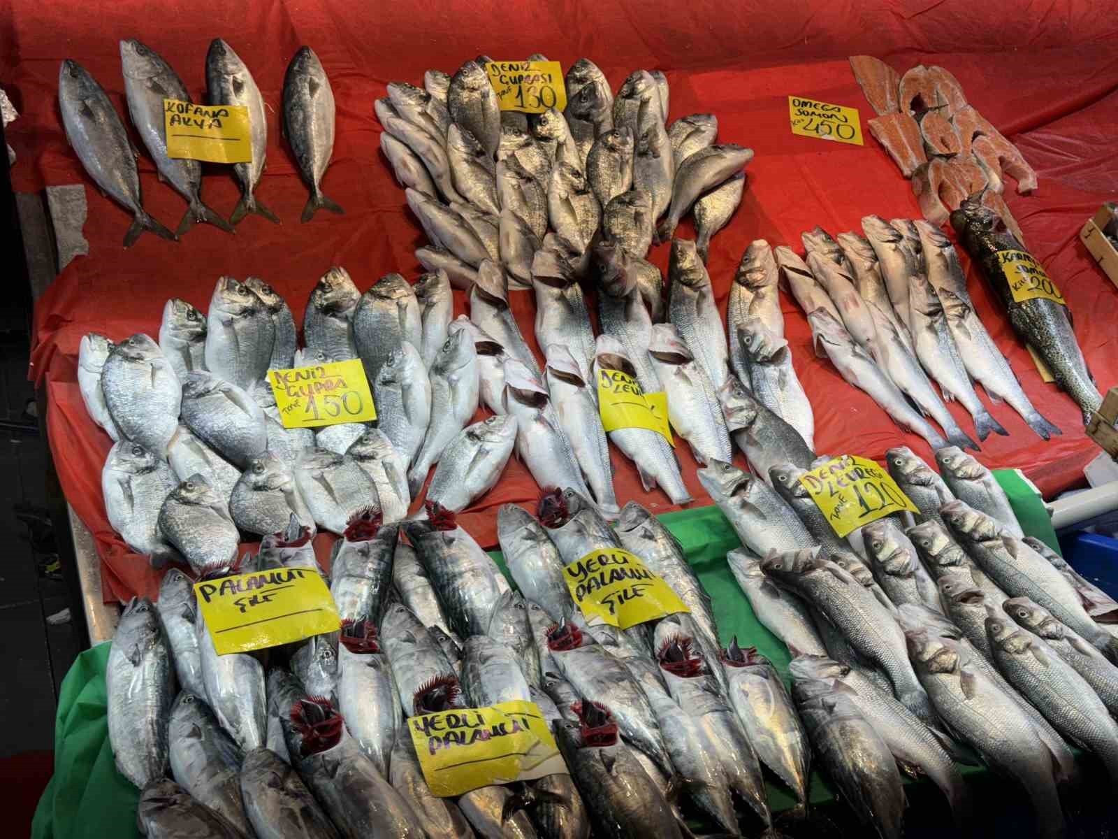 Balık Sezonu Açıldı: Balıklar Tezgahlardaki Yerini Aldı