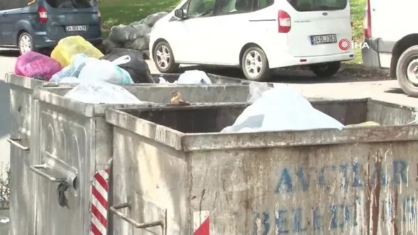 Çöp Konteyneri İçinde Yeni Doğmuş Erkek Bebek Bulundu