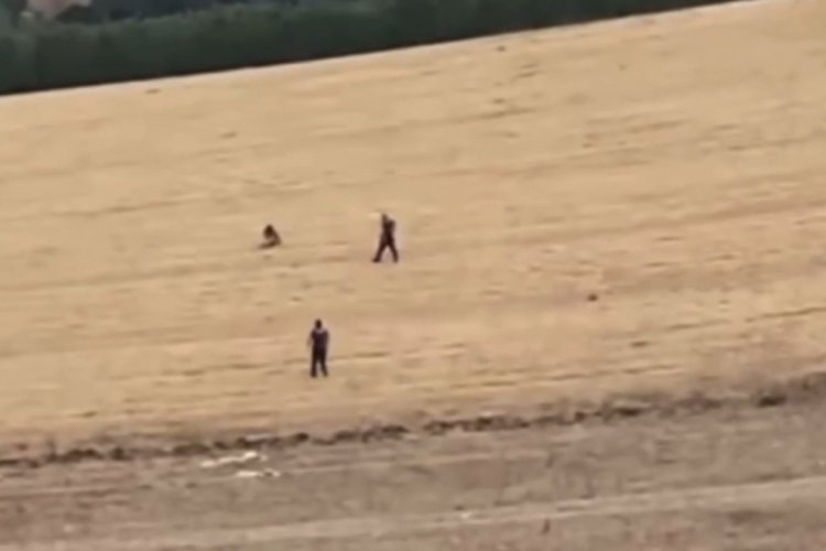 Filmleri aratmayan kovalamaca: Şüpheli kaçtı, polis tarlada kovaladı