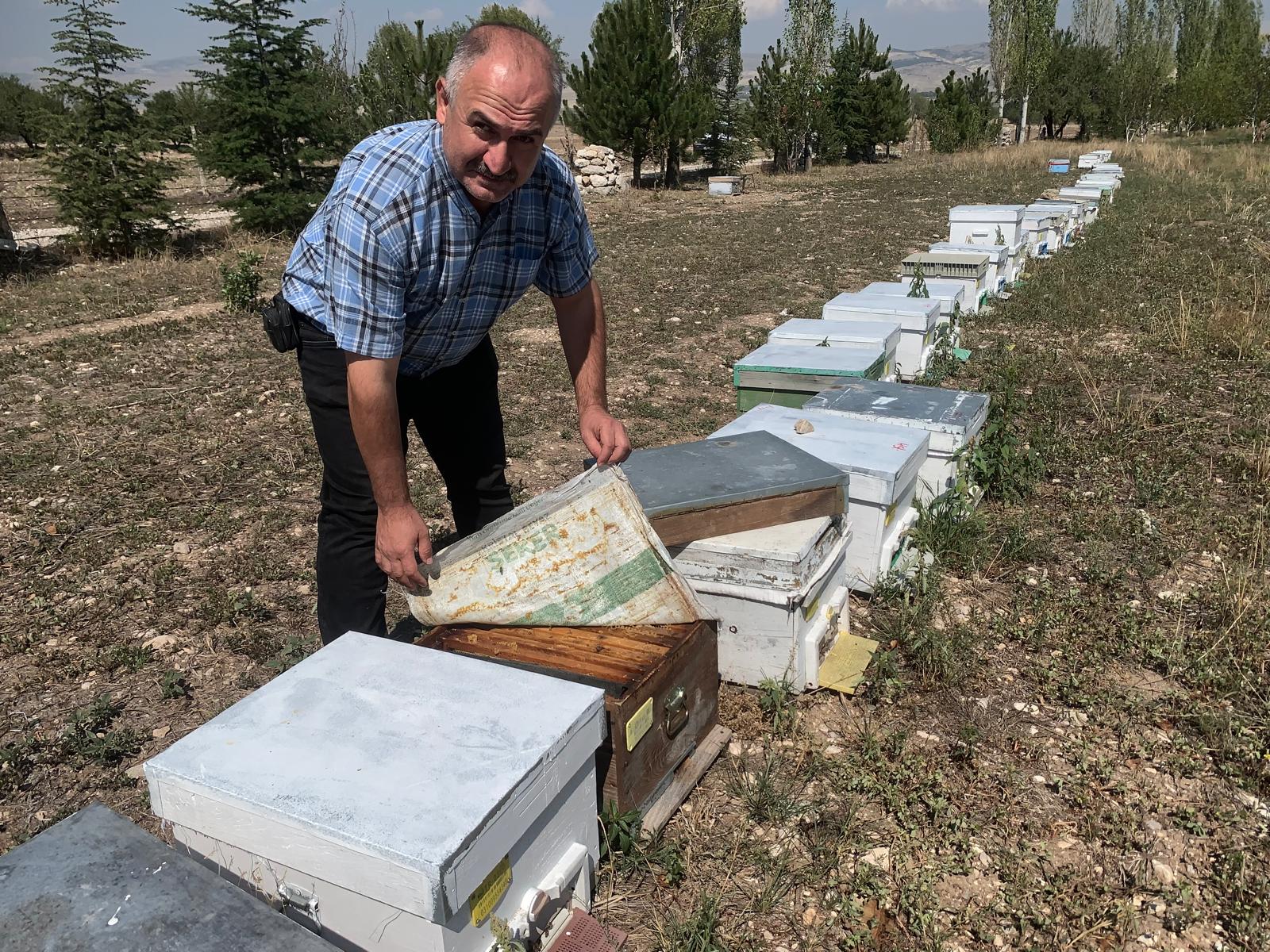 Tarım ve Orman Ekiplerinden  “Arı Varsa Tarım Var” Vurgusu