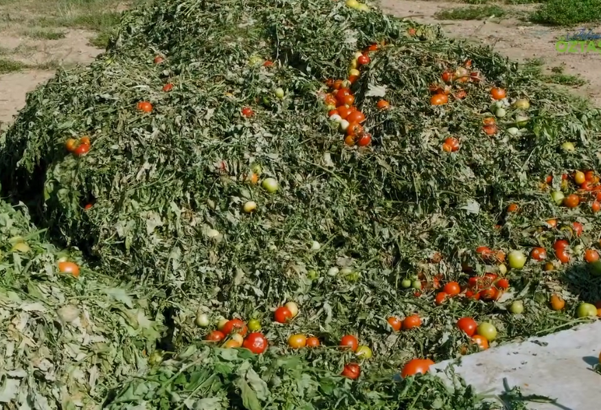 Sandıklı Belediyesi Seralardan Gelen Atıkları Doğaya Kazandırıyor!