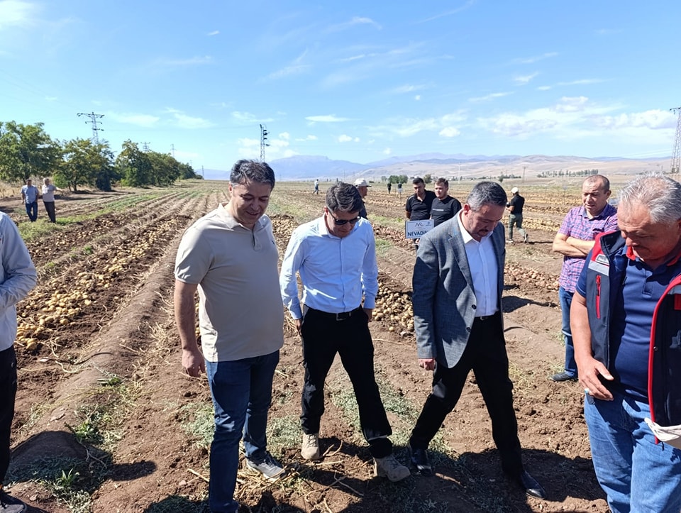 Müdür Parlak Sandıklı’da Patates Çeşitlerini İnceledi