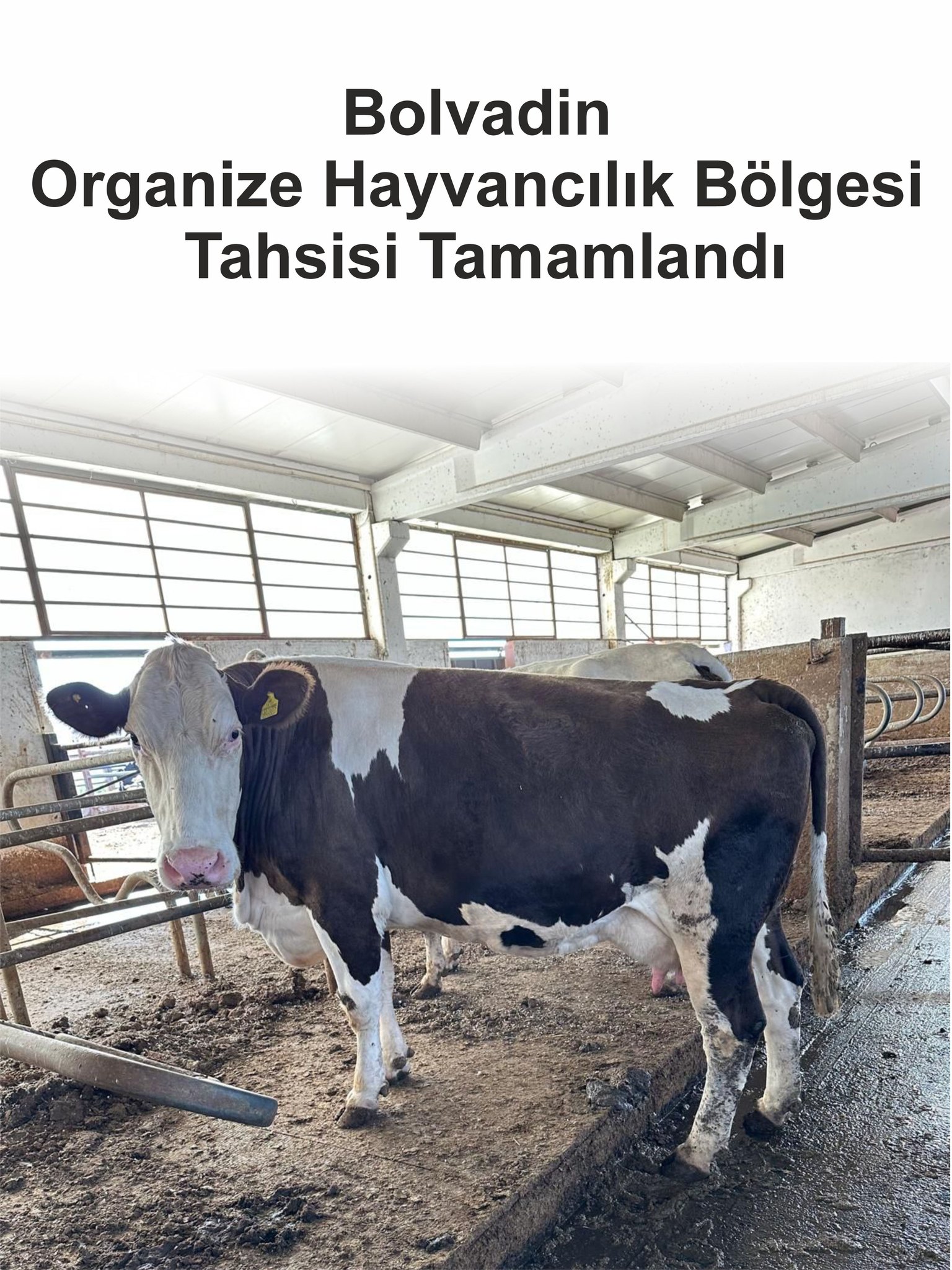 Başkan Aynacı’dan Milletvekili Taytak’a Teşekkür