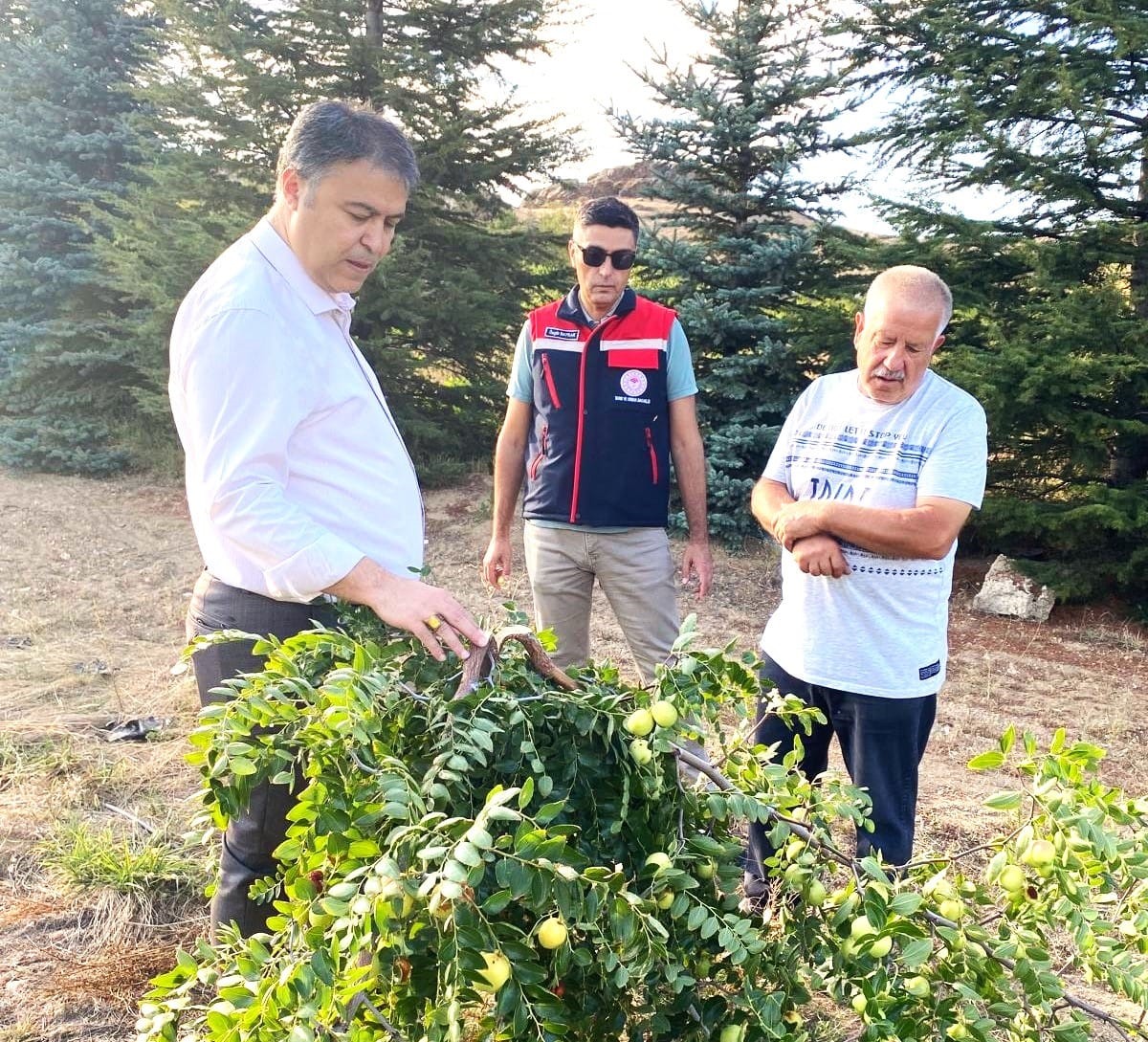 Afyonkarahisar’da Hünnap Hasadı Başlayacak