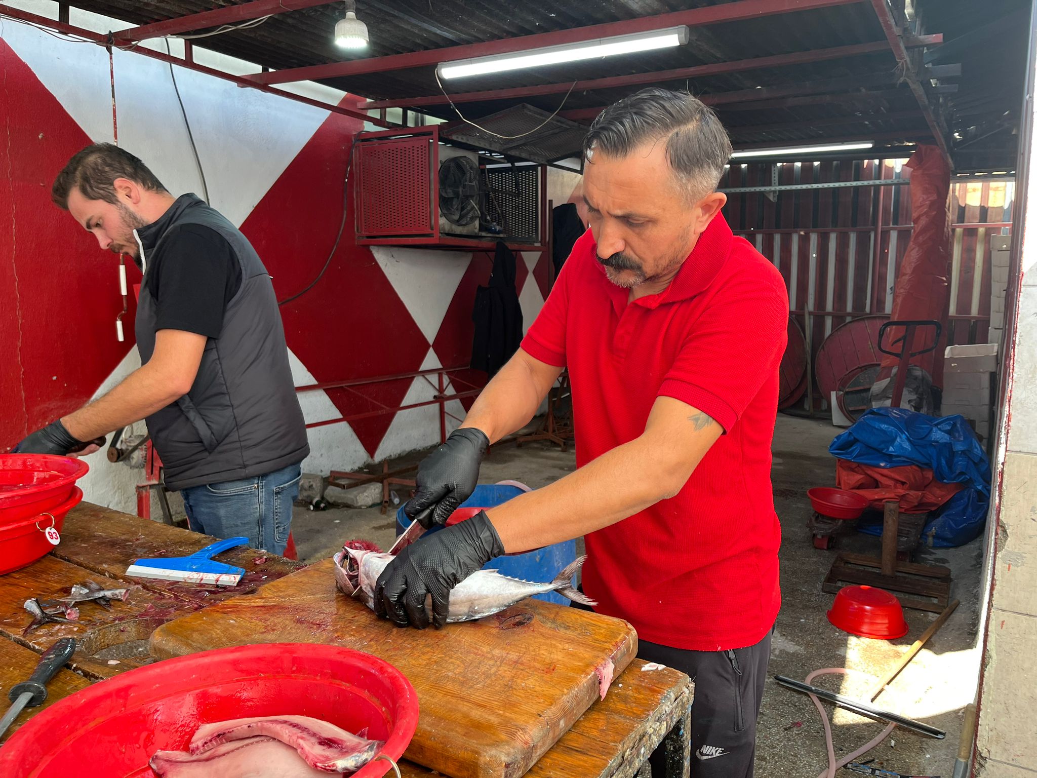 BU YIL BALIK BOLLUĞU YAŞANACAK