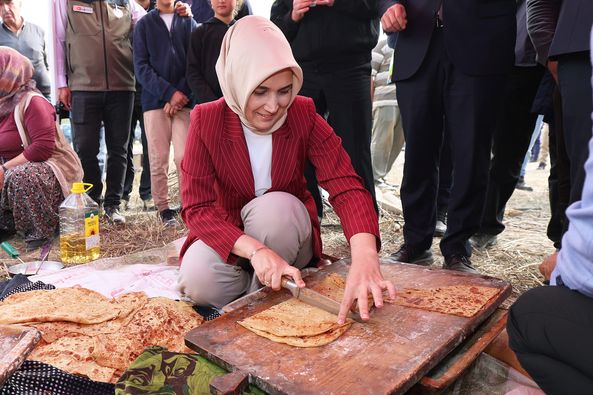Vali Yiğitbaşı Sinanpaşa’da Brokoli Hasadına Katıldı