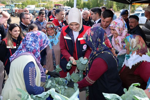 Vali Yiğitbaşı Sinanpaşa’da Brokoli Hasadına Katıldı