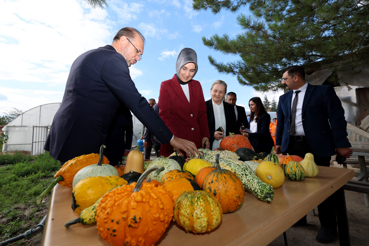 Vali Yiğitbaşı Süs Kabaklarının Hasadına Katıldı