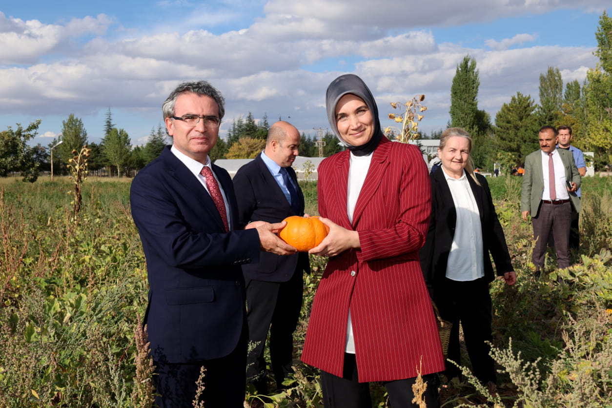 Vali Yiğitbaşı Süs Kabaklarının Hasadına Katıldı
