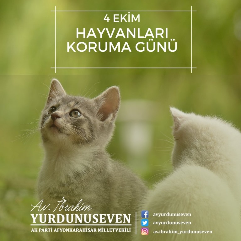 MİLLETVEKİLİ YURDUNUSEVEN HAYVANLARI KORUMA GÜNÜNÜNÜ UNUTMADI