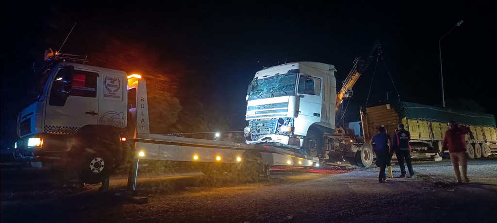 KONTROLDEN ÇIKAN TIRI AĞAÇLAR DURDURDU!