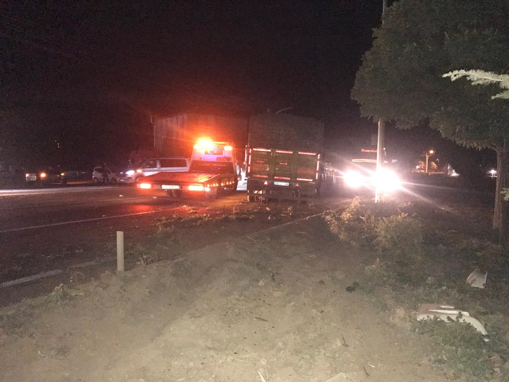 KONTROLDEN ÇIKAN TIRI AĞAÇLAR DURDURDU!
