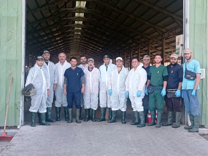 ÇAY İLÇE TARIM VE ORMAN MÜDÜRLÜĞÜNDEN HAYVANLARA TÜBERKÜLİN TESTİ UYGULAMASI