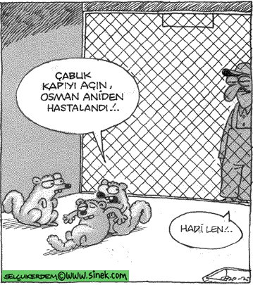 AK Partili Şahin'in Mizahi Paylaşımı Takdir Topladı