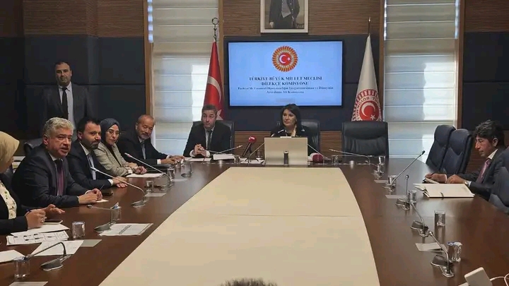 MİLLETVEKİLİ TAYTAK, ALT KOMİSYON TOPLANTISINA KATILDI