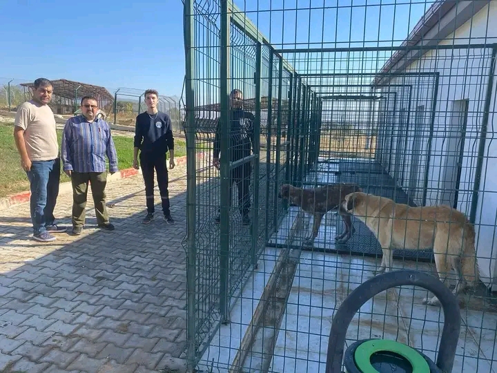 AFYONKARAHİSAR'DA HAYVAN BAKIMEVLERİ DENETLENDİ