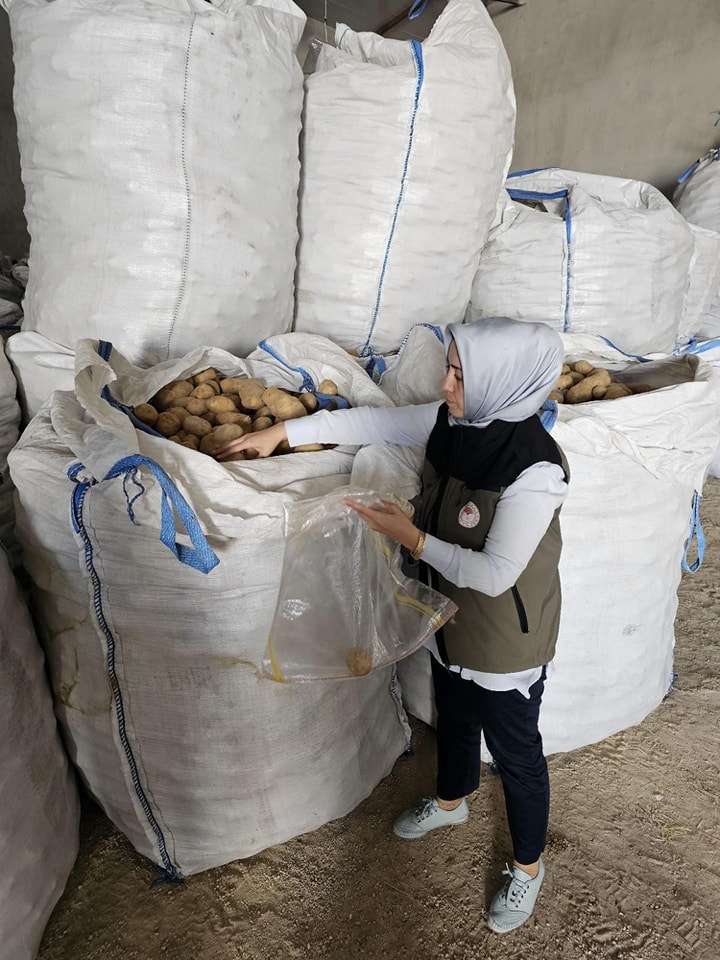 Afyonkarahisar'dan Patates İhracatı Devam Ediyor: Tunus’a 132 Ton Ürün Gönderildi