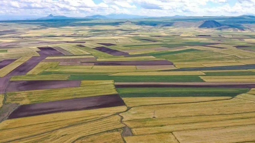 Tarlası ve arsası olanlar dikkat! Hükümet harekete geçti: Boş bırakmak yok