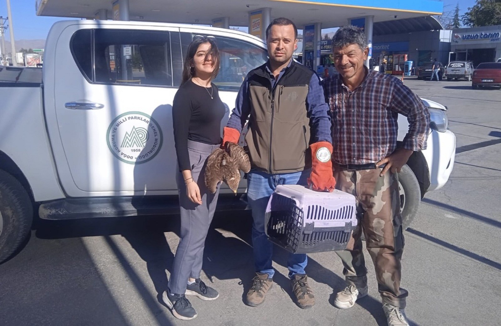Afyonkarahisar’da Yaralı Bulunan Kızıl Şahin ve Çakal Koruma Altına Alındı