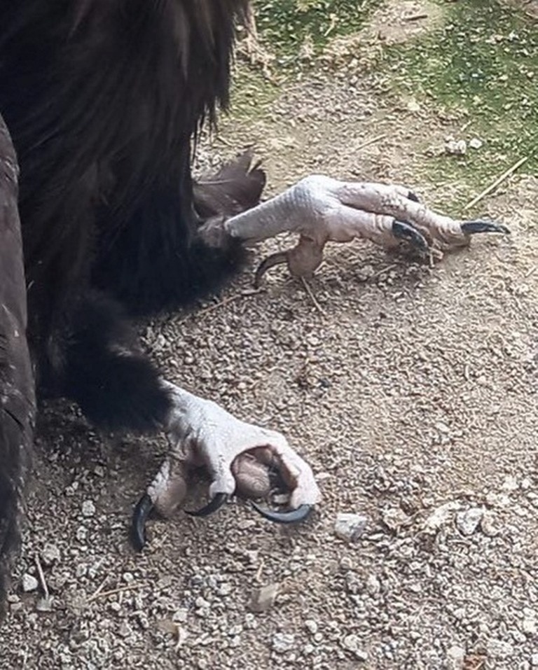 AYLAR SONRA GELEN ÖZGÜRLÜK