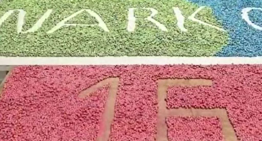 AFYON DAHİL 77 İLDE NARKOÇELİK-45' OPERASYONU!