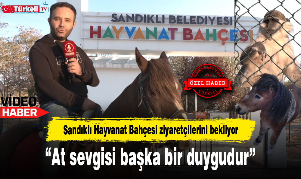 "25 YILDIR AT ANTRENÖRLÜĞÜ VE TEMEL BİNİCİLİK EĞİTİMLERİ VERİYORUM"