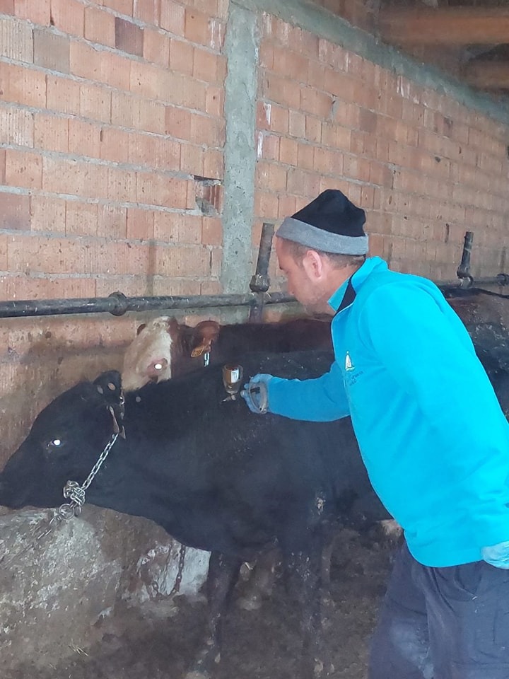 Kızıldağ Köyünde Hayvanlara Şap ve Çiçek Aşıları Yapıldı