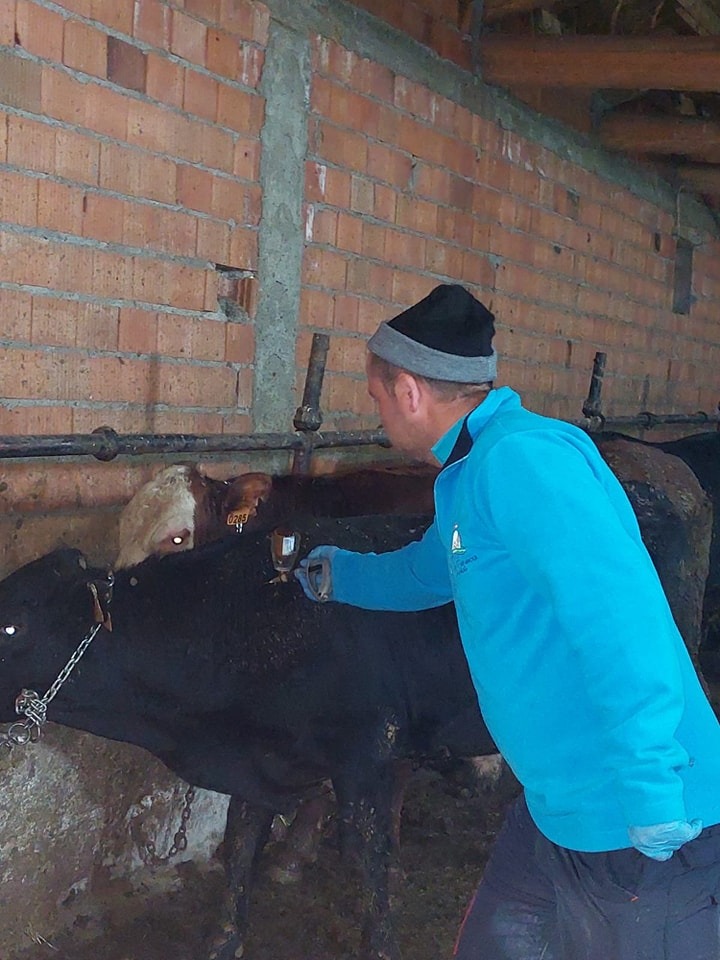 Kızıldağ Köyünde Hayvanlara Şap ve Çiçek Aşıları Yapıldı
