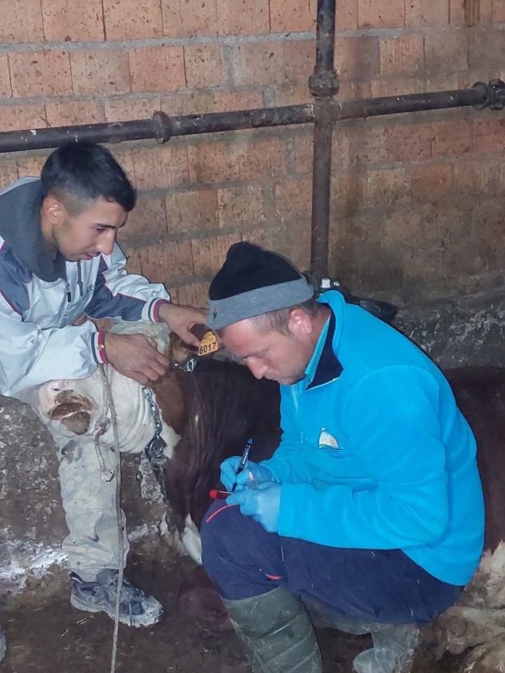 Kızıldağ Köyünde Hayvanlara Şap ve Çiçek Aşıları Yapıldı