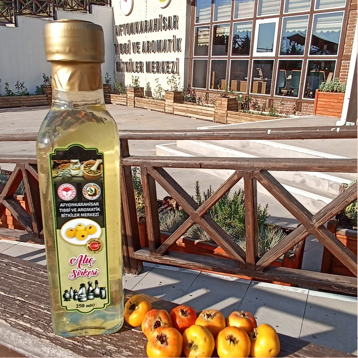 Tıbbi ve Aromatik Bitkiler Merkezi’nden Alıç Sirkesi Tanıtımı Doğal Şifa Kaynağı