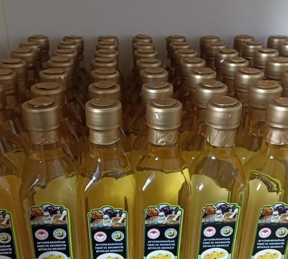 Tıbbi ve Aromatik Bitkiler Merkezi’nden Alıç Sirkesi Tanıtımı Doğal Şifa Kaynağı