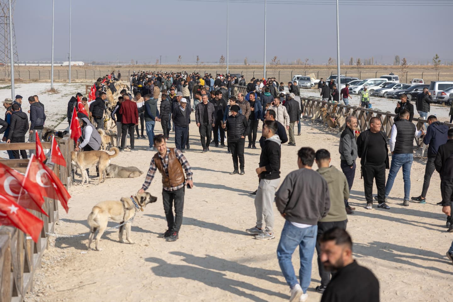 Afyon Belediyesi'nden Patili Dostlara Güzellik Yarışması