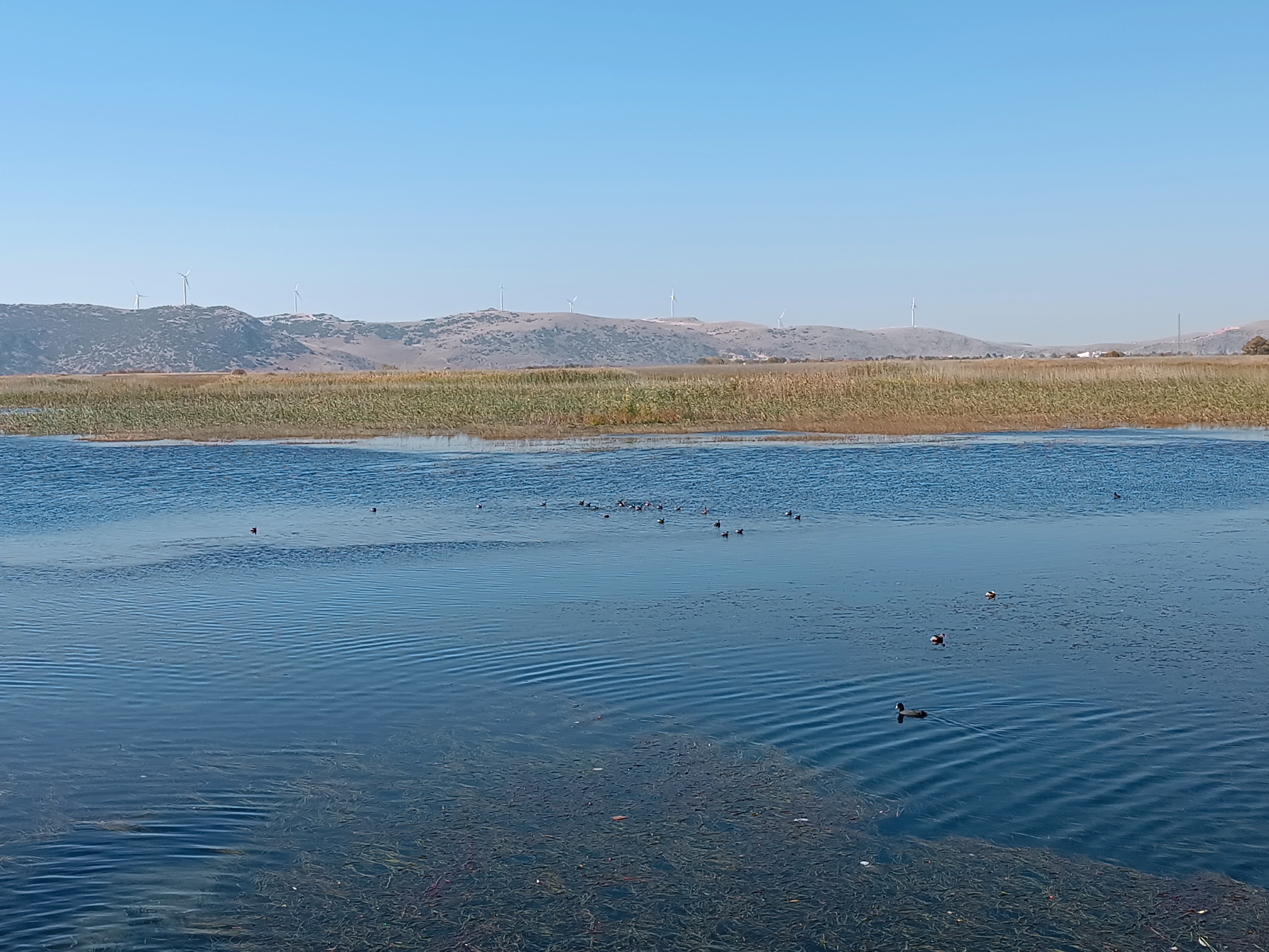Büyük Menderes Nehri’nin Afyon’da doğduğu bu gölü ziyaret edin!