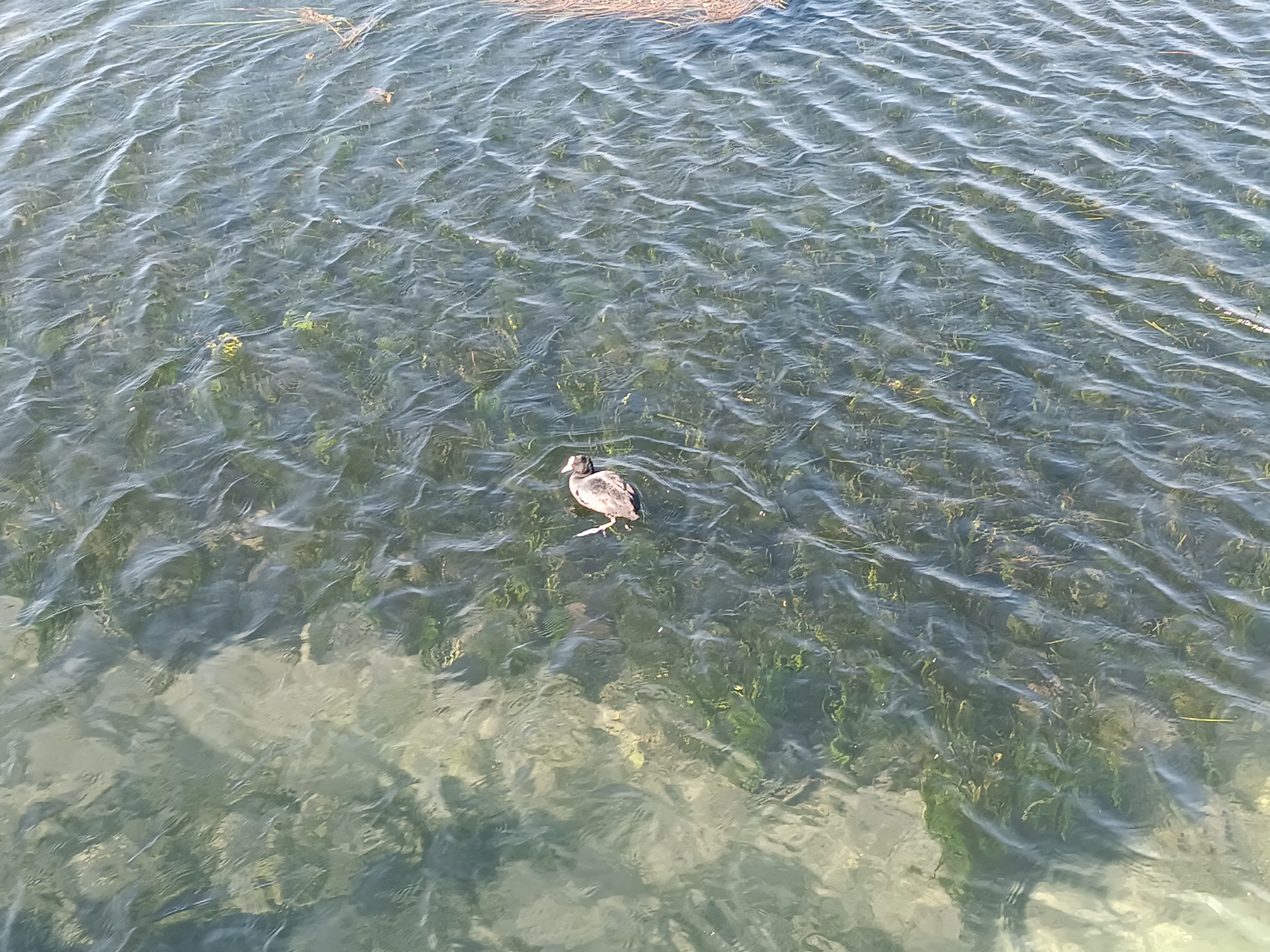 Büyük Menderes Nehri’nin Afyon’da doğduğu bu gölü ziyaret edin!