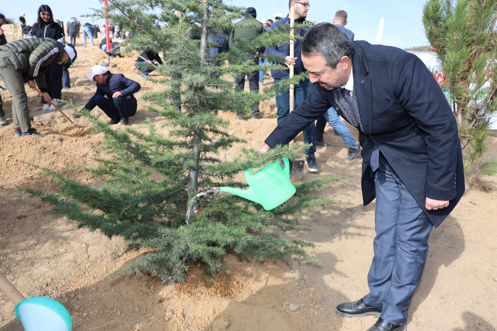 Yangın Sonrası Doğa Yeniden Canlanıyor!  Milli Ağaçlandırma Günü'nde Akharım'da Fidan Dikimi
