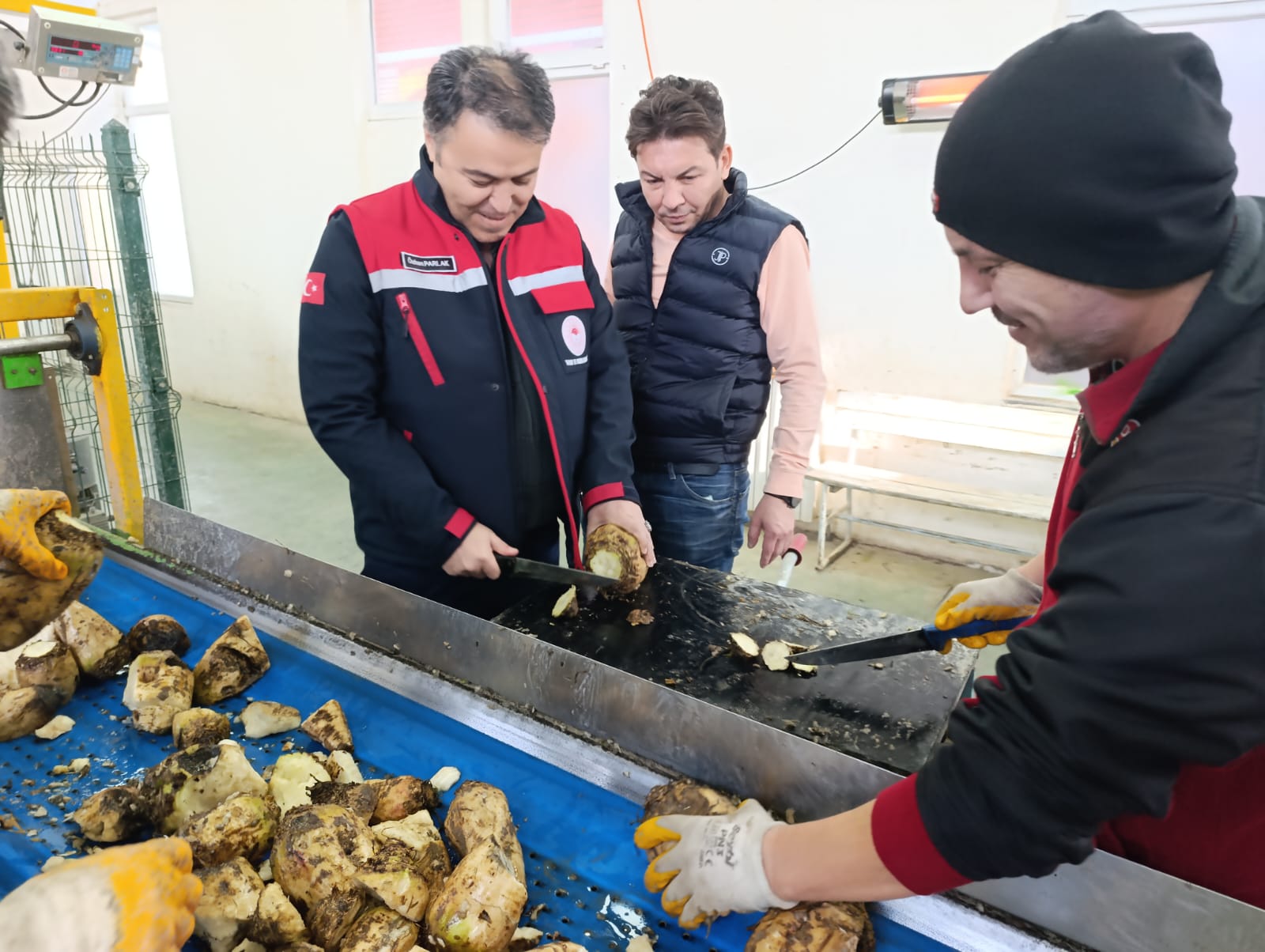Afyon Tarımında Şeker Pancarı Üretimine Yakın Takip