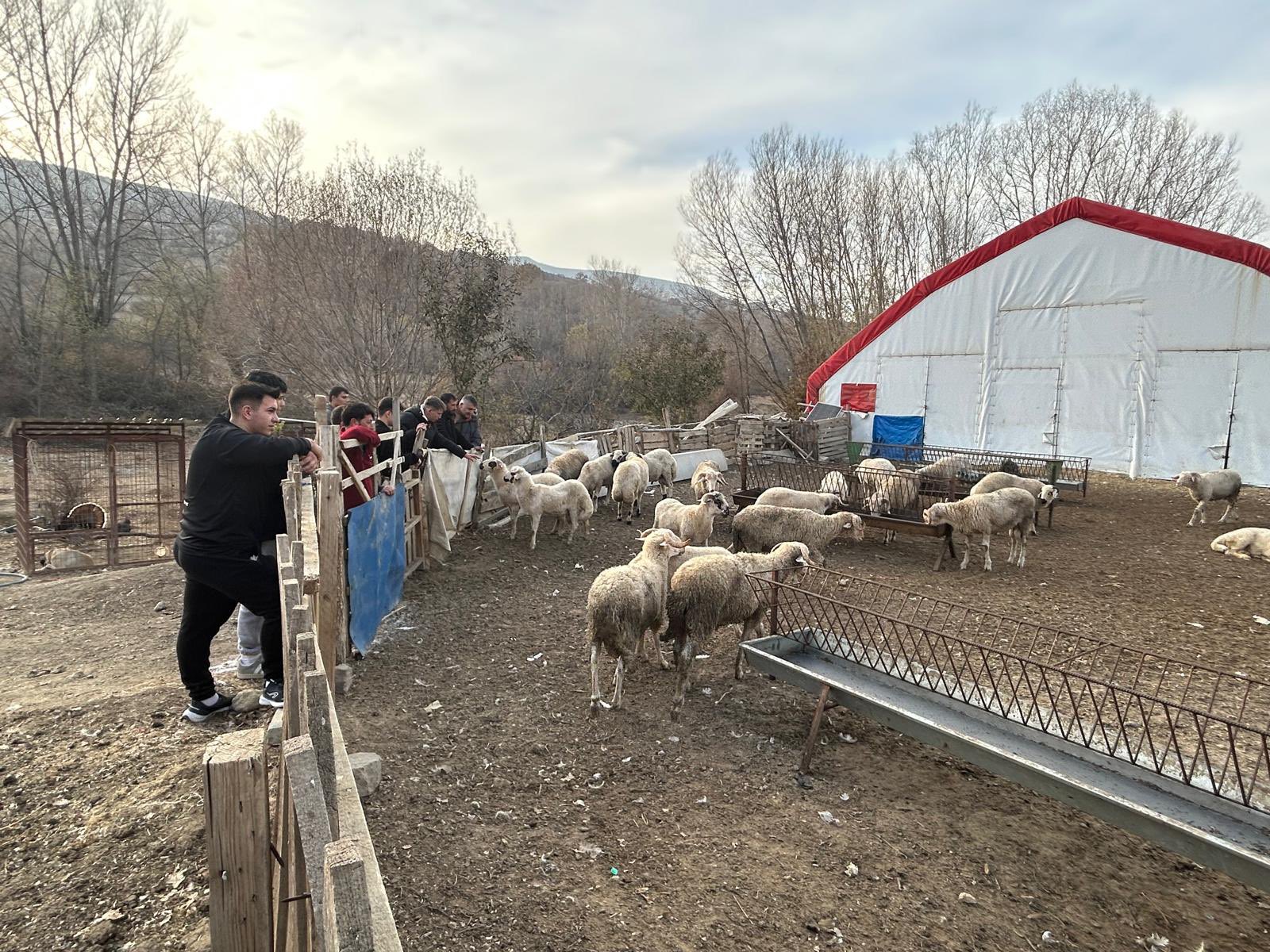 Öğrenciler Hem Eğlendi Hem Öğrendi Etkinlik Şehitlik Ziyaretiyle Son Buldu