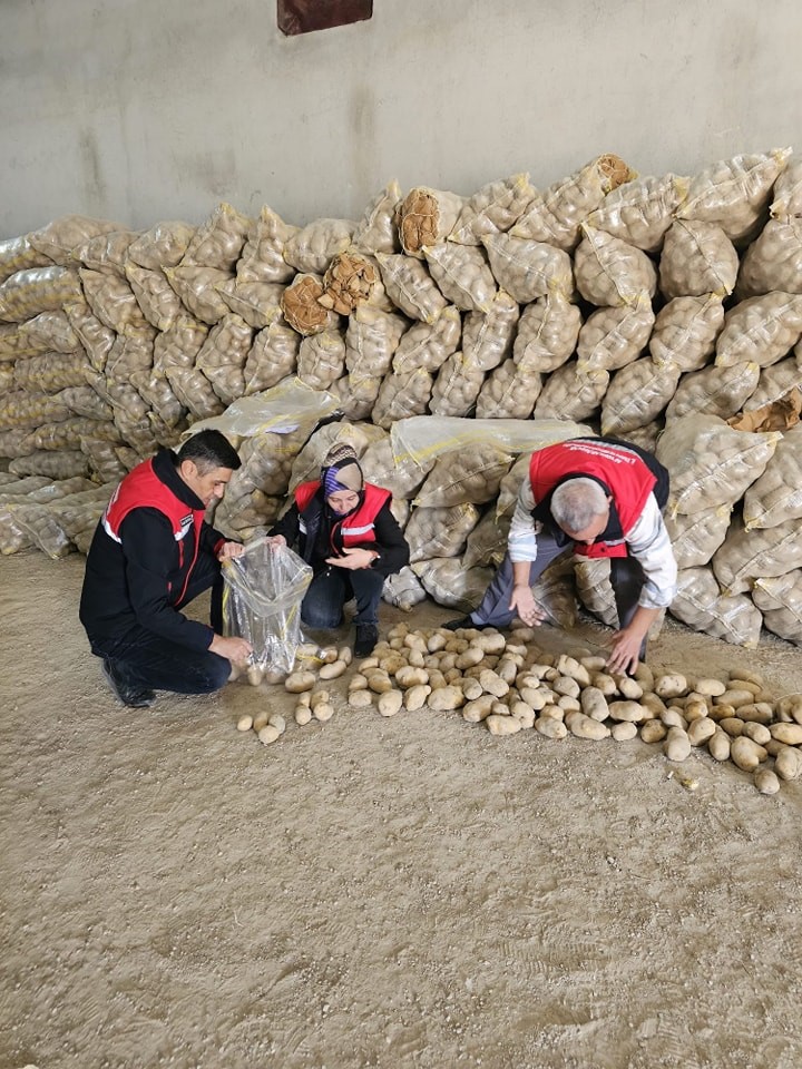 Tunus ve Azerbaycan’a yaklaşık 300 ton patates ihracatı yapıldı