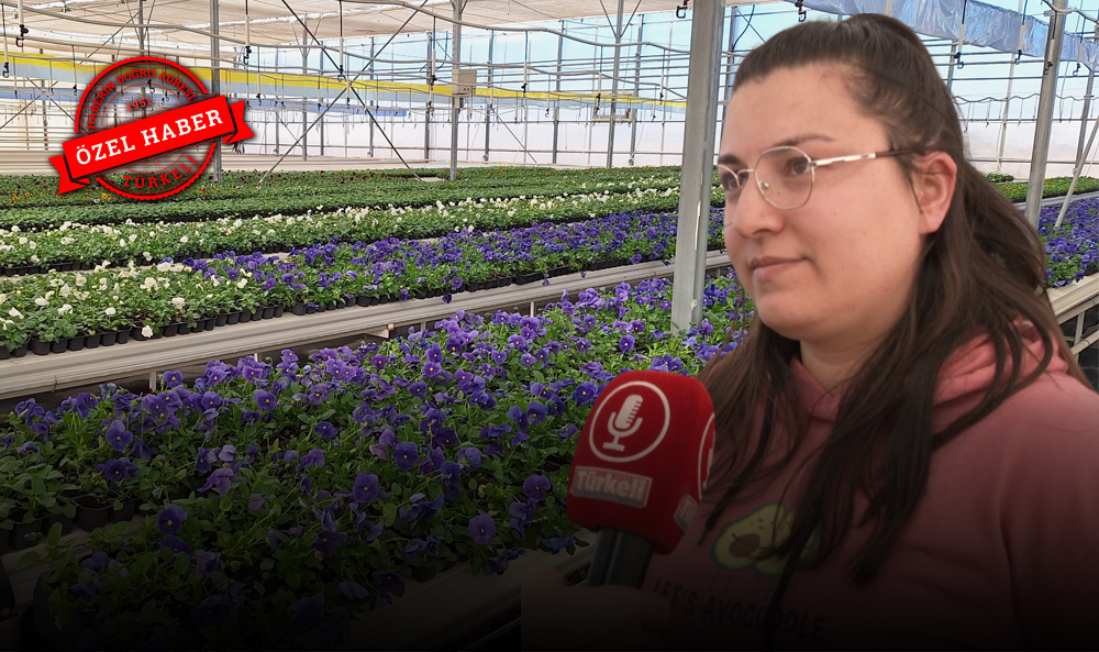Sandıklı'da Jeotermal Sera, Çiçek ve Ata Tohumu Üretimiyle Dikkat Çekiyor