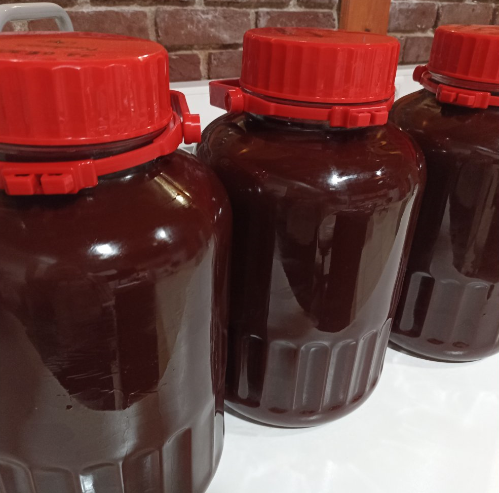 Tıbbi ve Aromatik Bitkiler Merkezi Sarı Kantaronu Tanıttı