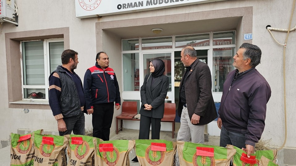 Çiftçilere Hibe Destekli Buğday Tohumu Desteği