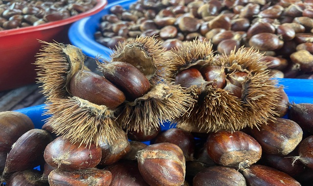 KIŞ AYLARININ VAZGEÇİLKMEZİ KESTANE RAFLARDA YERİNİ ALDI