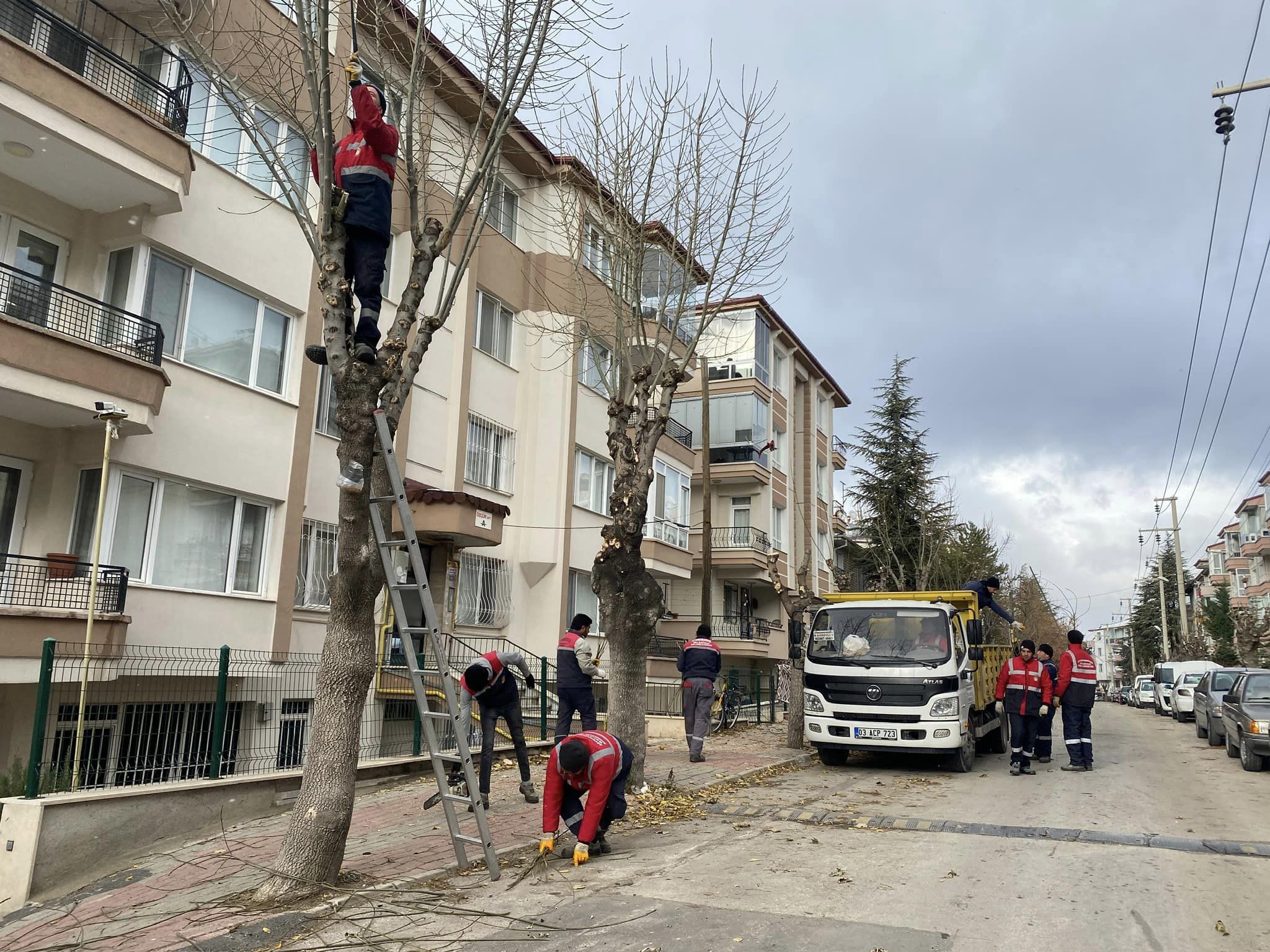 Afyon Belediyesi Doğayı Koruyor Şehri Yeşillendiriyor