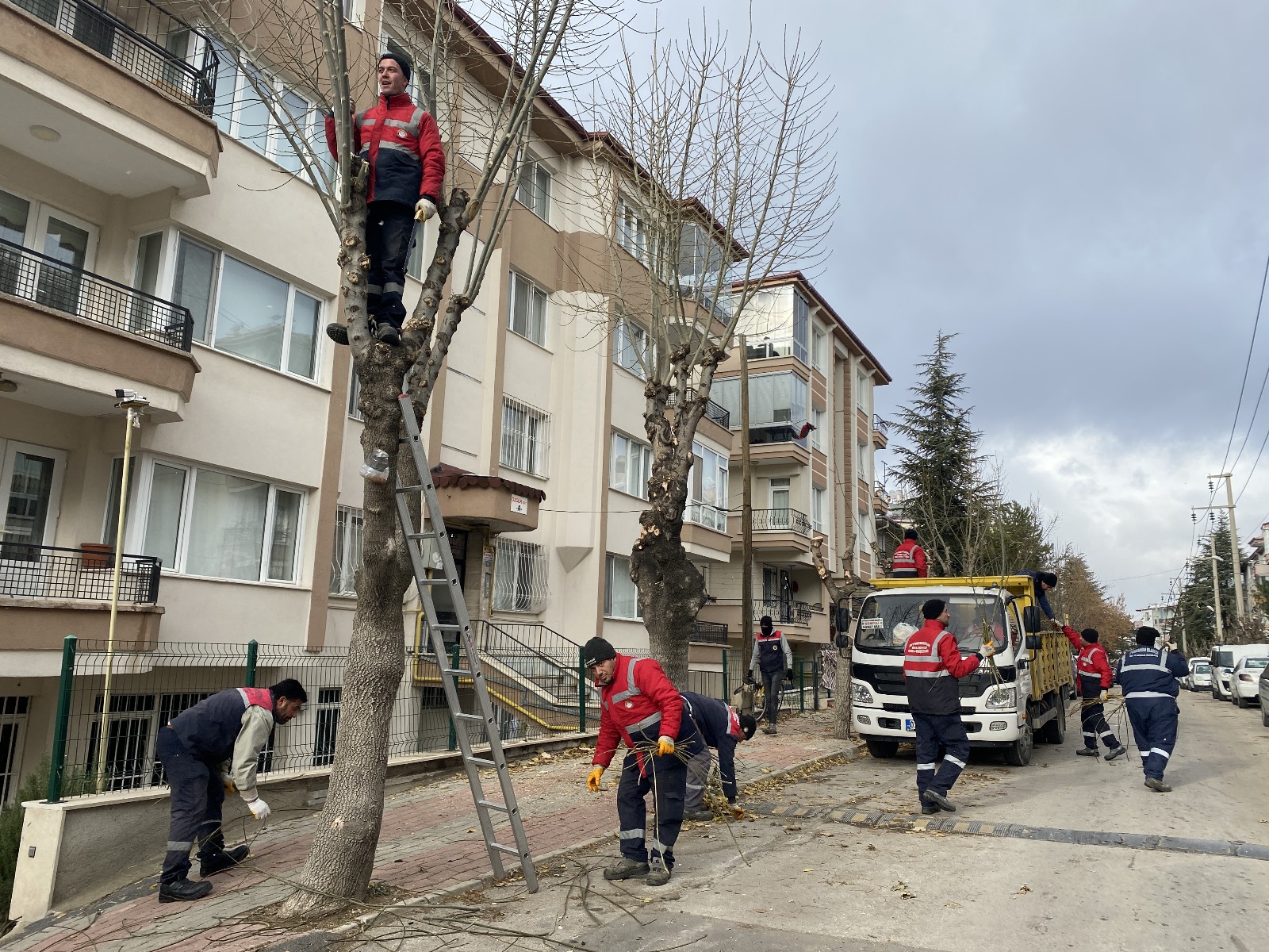 Afyonkarahisar Belediyesi Ekipleri, Yeşil Alanlarda Budama Çalışmalarını Sürdürüyor