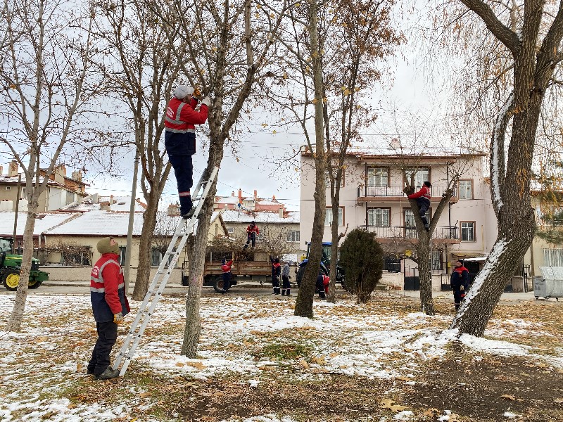 Afyonkarahisar Belediyesi Ekipleri, Yeşil Alanlarda Budama Çalışmalarını Sürdürüyor