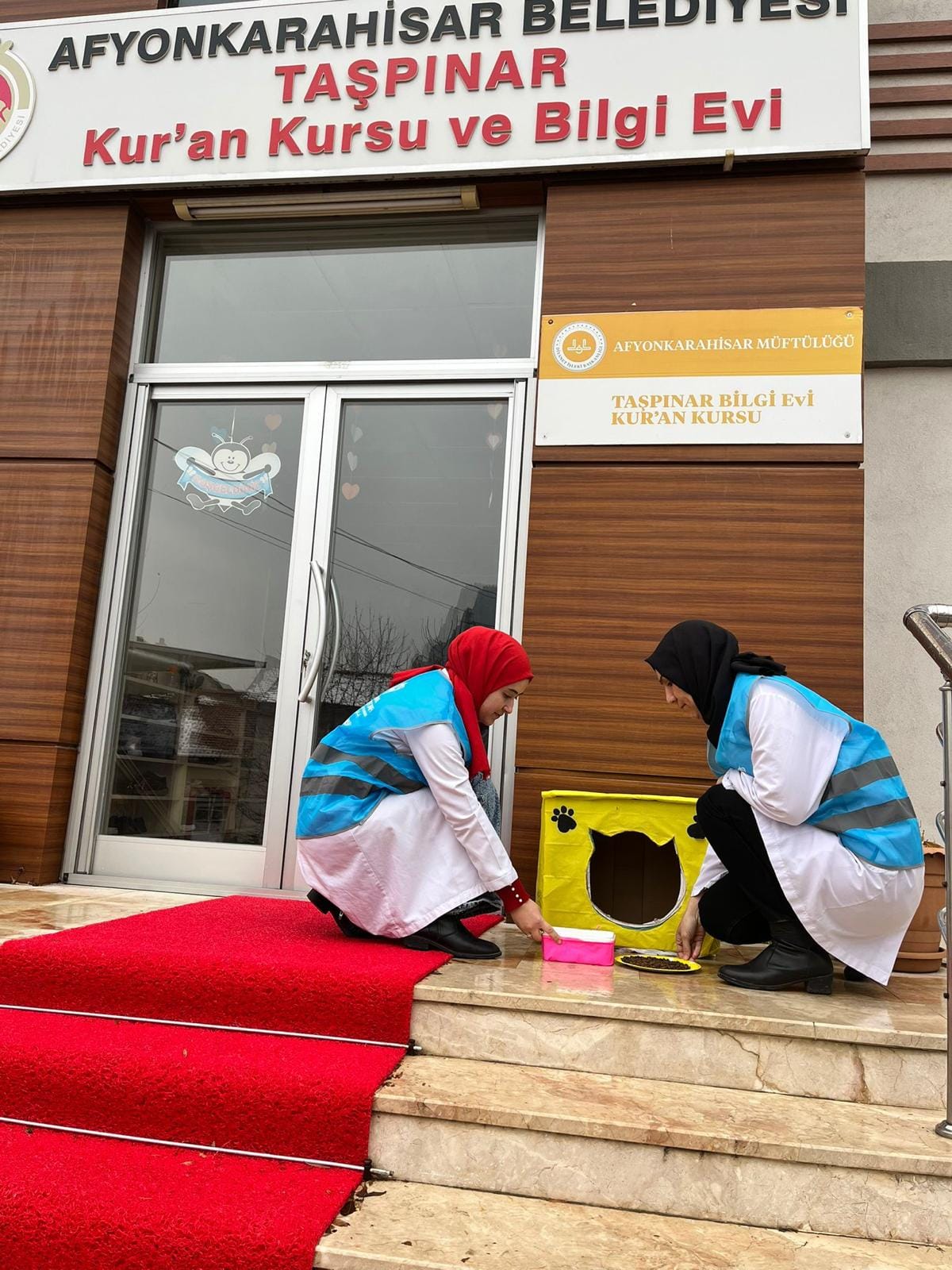 TDV Gönüllüleri Sokak Hayvanları İçin Harekete Geçti