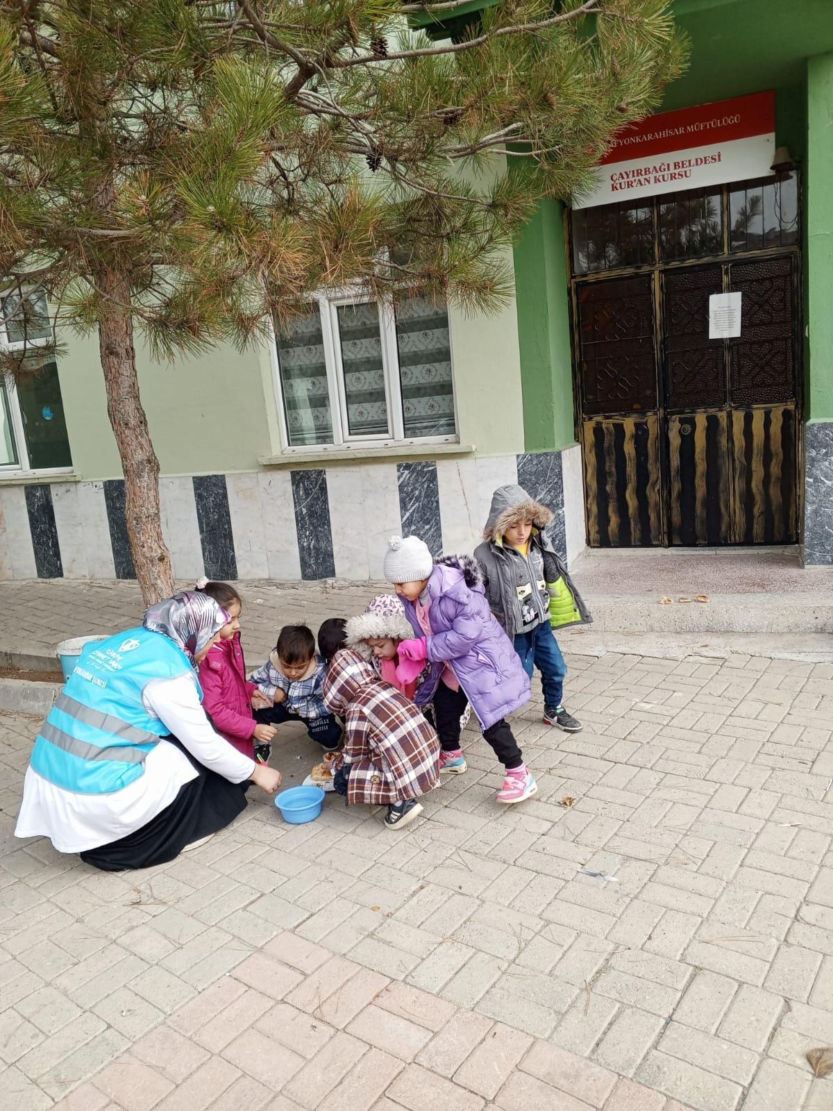 TDV Gönüllüleri Sokak Hayvanları İçin Harekete Geçti