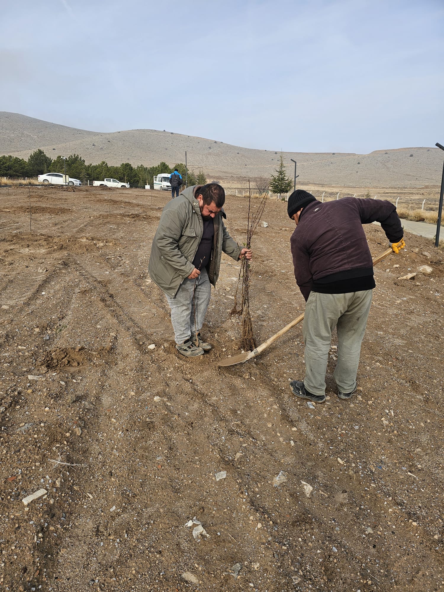 Emirdağ’da Meyve Bahçesi Projesi Hayata Geçiyor